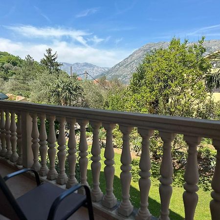 Villa Nikola โกตอร์ ภายนอก รูปภาพ