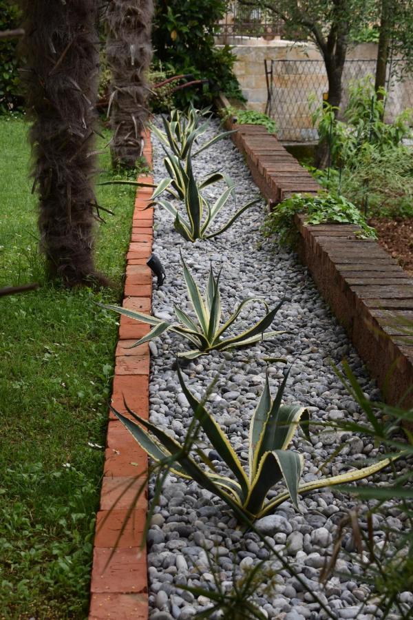 Villa Nikola โกตอร์ ภายนอก รูปภาพ