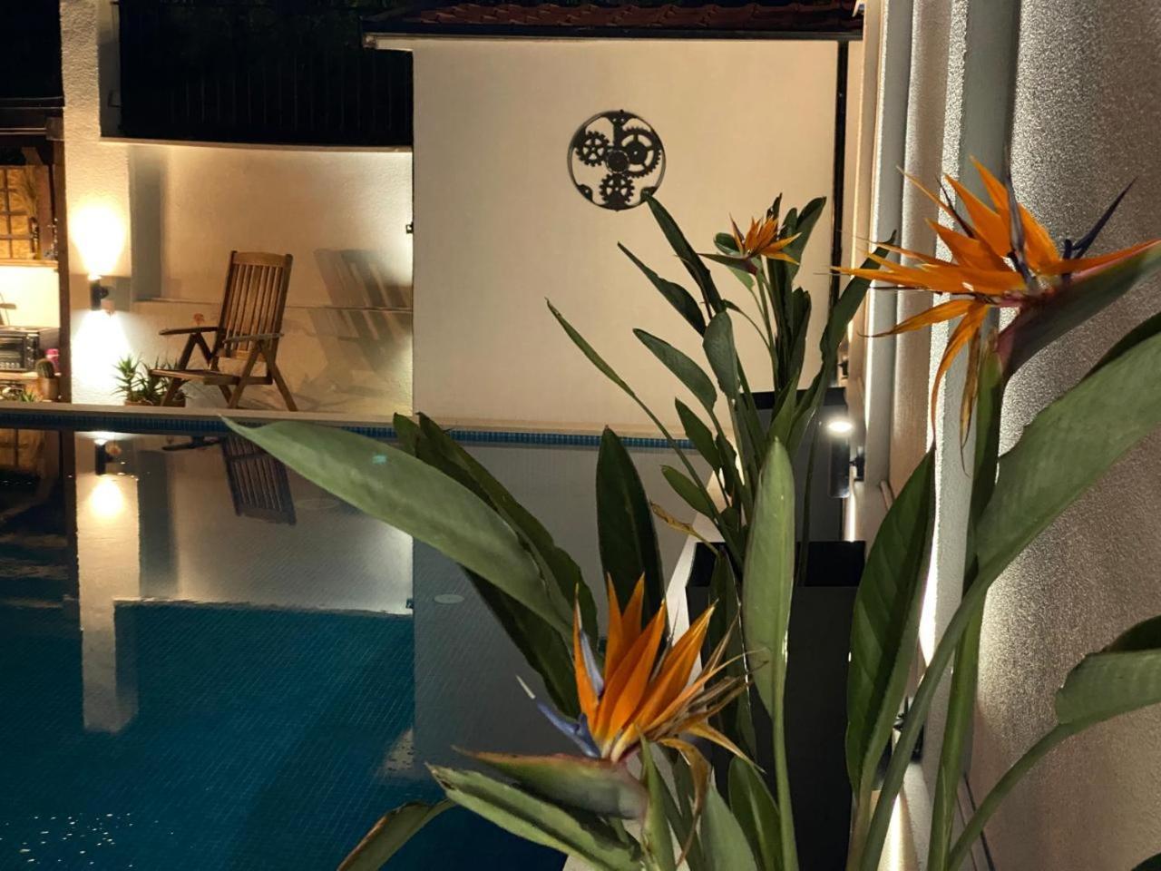Villa Nikola โกตอร์ ภายนอก รูปภาพ