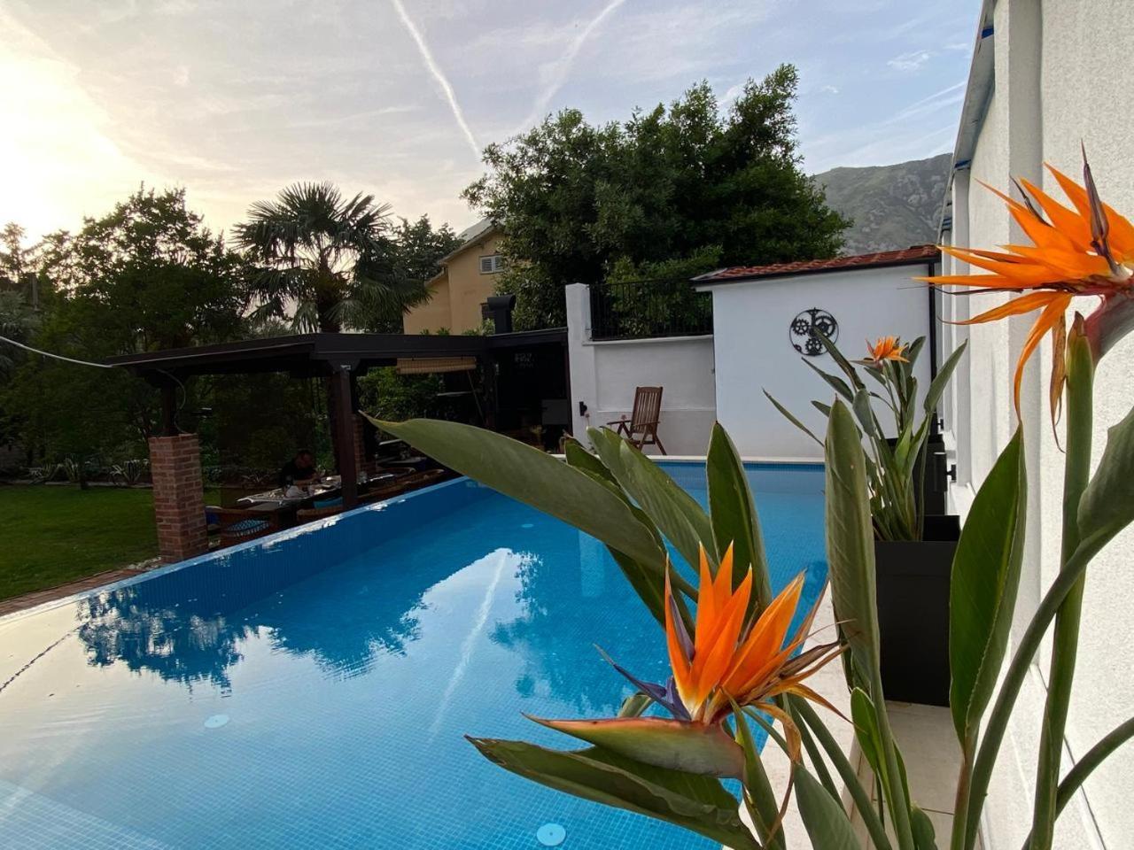 Villa Nikola โกตอร์ ภายนอก รูปภาพ